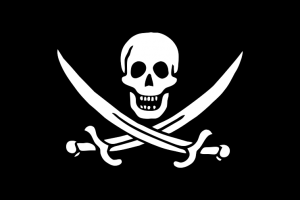 Pirates du Net