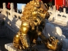 Beijing - Forbidden City